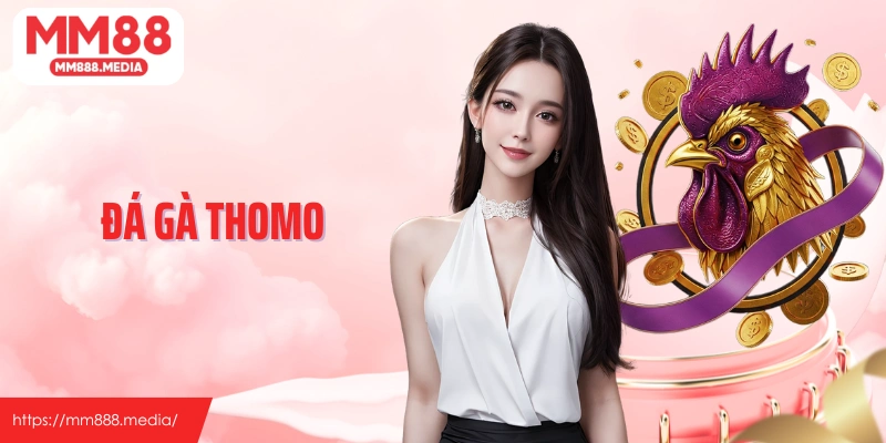 Đá gà Thomo